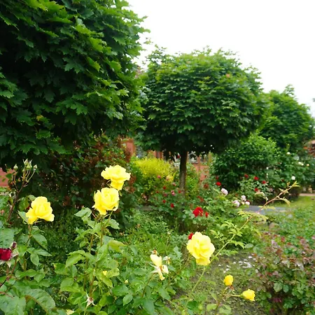 Ferienpark An Der Ostsee 3*