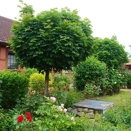 Alcor An Der Ostsee Holiday park